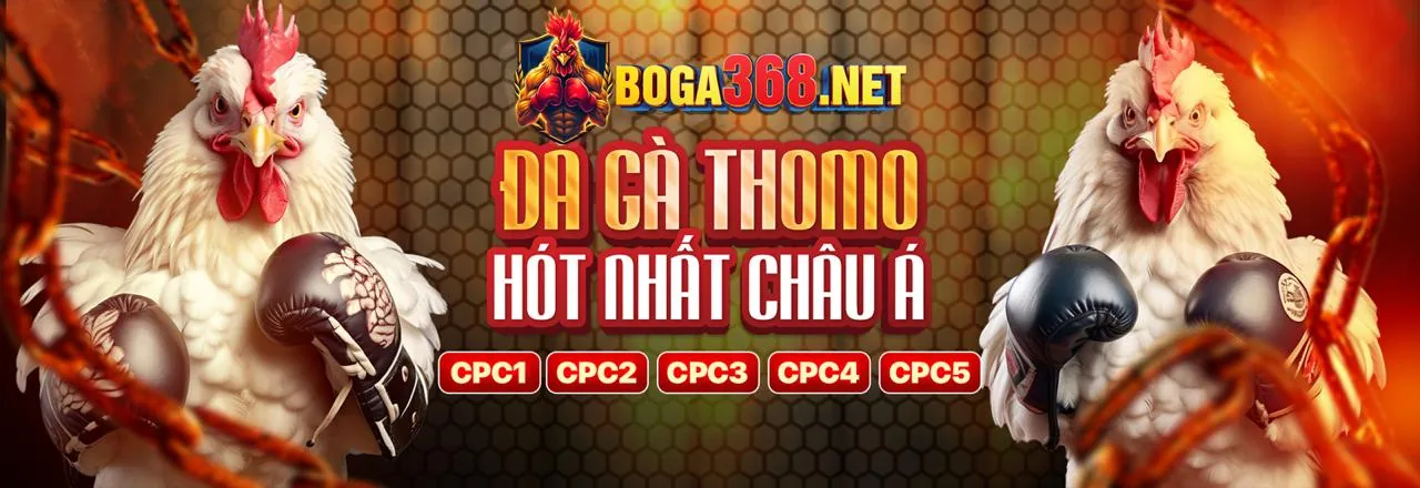 Đá gà trực tuyến kịch tính tại WW88BET